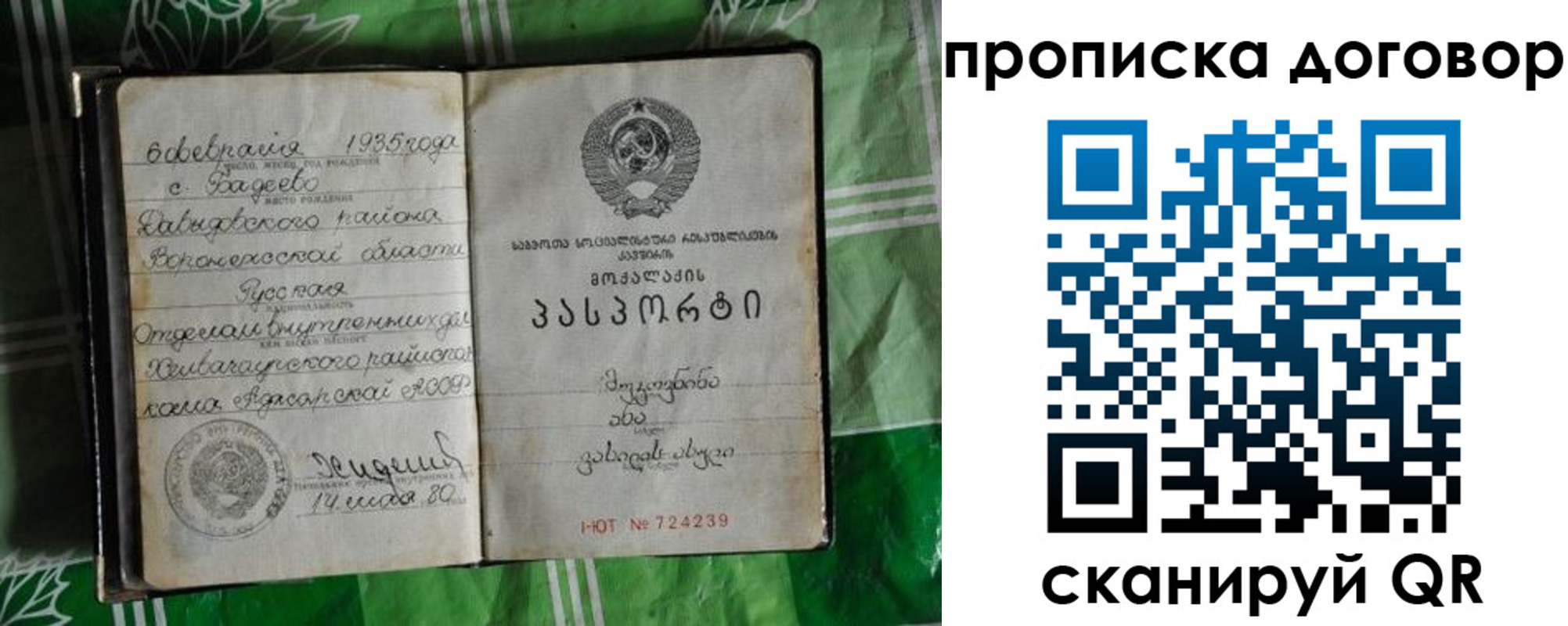 прописка в Партизанске